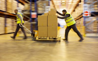 Workers carting boxes in warehouse